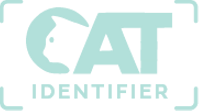 Cat Identifier